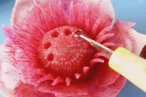 荷花（）莲花的做法图解23