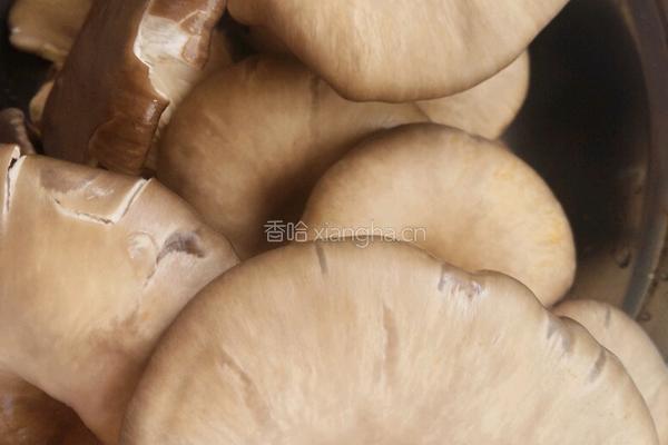 肉丝蘑菇的做法图解3