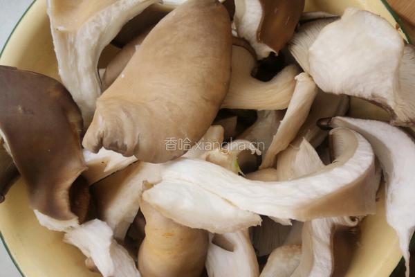 肉丝蘑菇的做法图解4