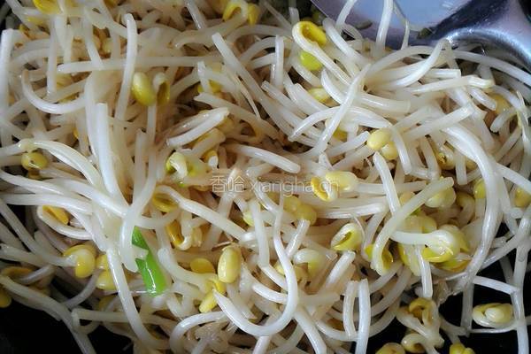素炒黄豆芽的做法图解4