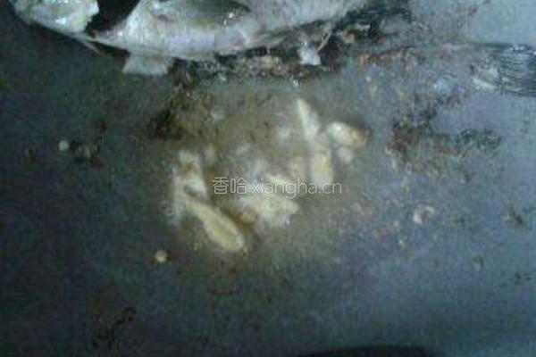 玉米鲫鱼汤的做法图解4