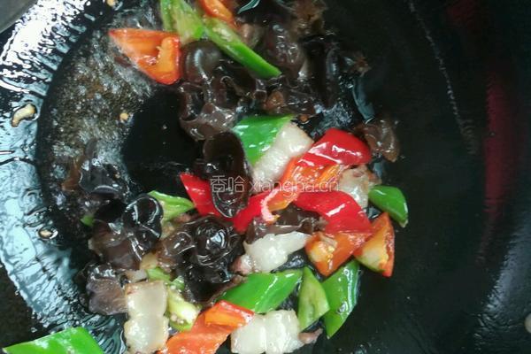 洋葱木耳炒肉的做法图解8