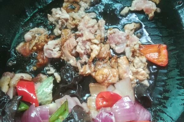 洋葱木耳炒肉的做法图解10