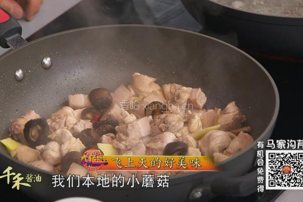 CCTV7食尚大转盘 山蘑菇炖柴鸡的做法图解4