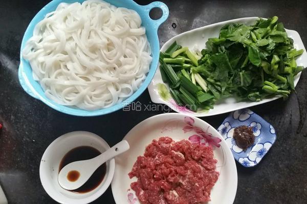 湿炒牛河的做法图解3