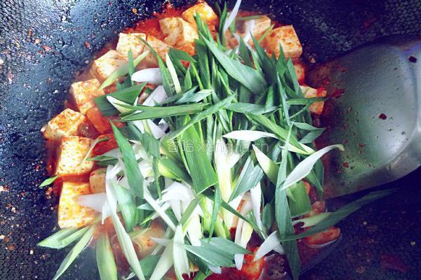 麻辣豆腐的做法图解10