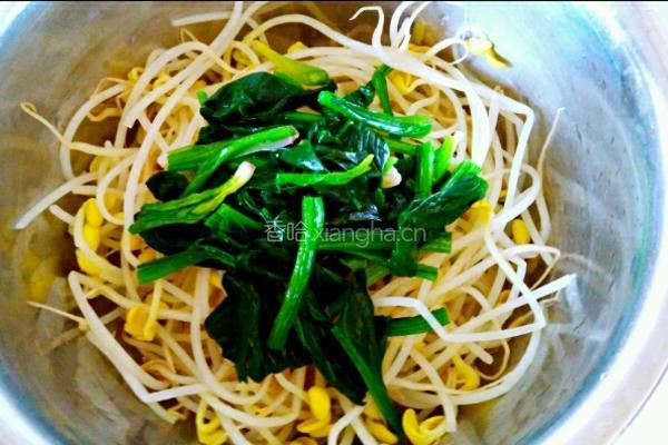 凉拌黄豆芽的做法图解10