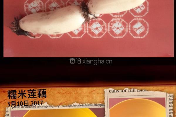 糯米莲藕的做法图解2