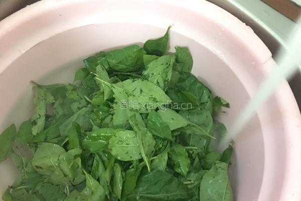 枸杞叶瘦肉咸蛋汤的做法图解1