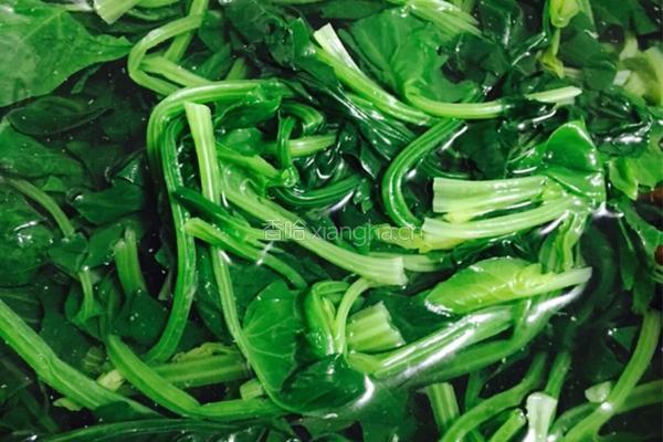 陈醋拌菠菜的做法图解4