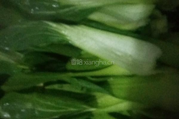 肉片炒油菜的做法图解5