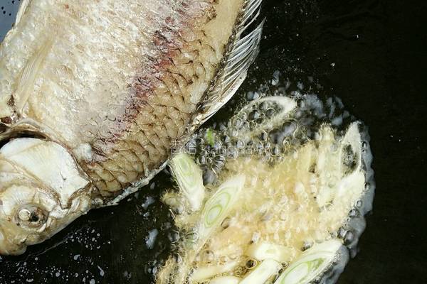 红烧鲫鱼豆腐的做法图解7