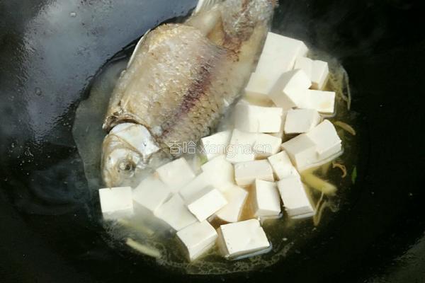 红烧鲫鱼豆腐的做法图解9