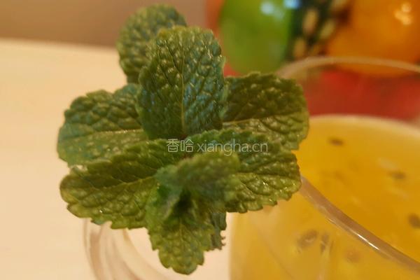 百香果蜂蜜薄荷茶的做法图解6
