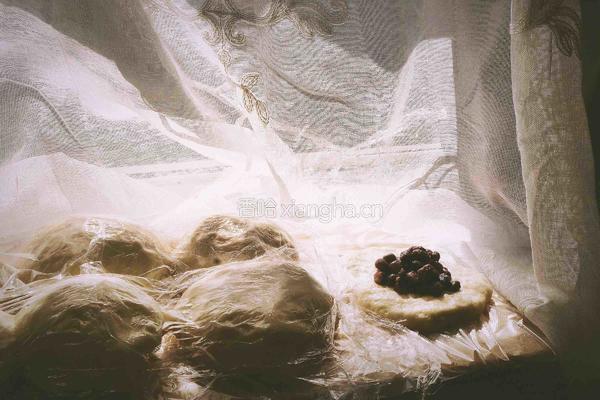 绵软红豆包(普通面粉 健康少油)的做法图解5