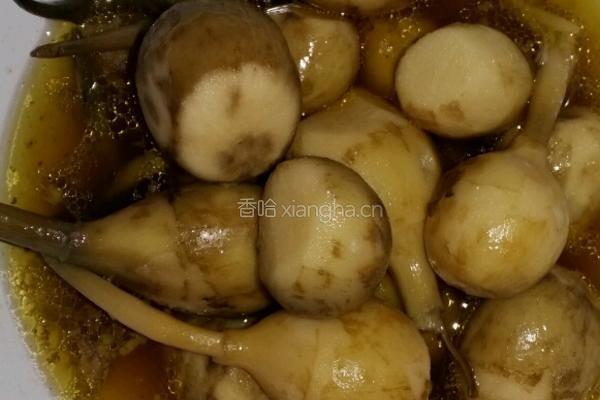 红烧牛肉汤煮茨菇的做法图解4