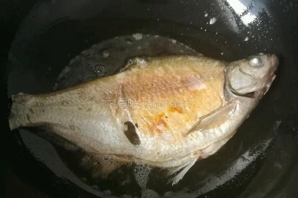 糖醋鳊鱼的做法图解3
