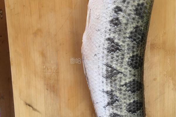 干锅黑鱼的做法图解3