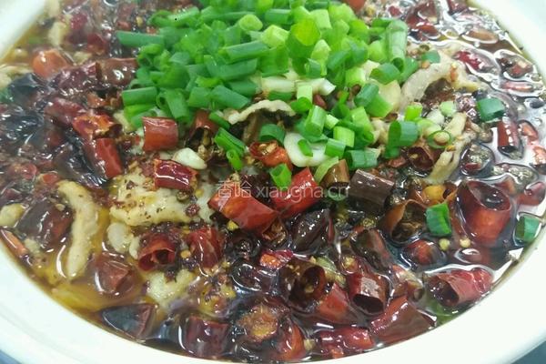 家常水煮肉片的做法图解19