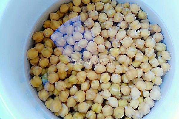 鹰嘴豆的制作及配餐的做法图解4