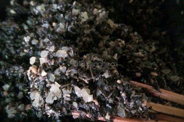 马齿菜包子的做法图解4