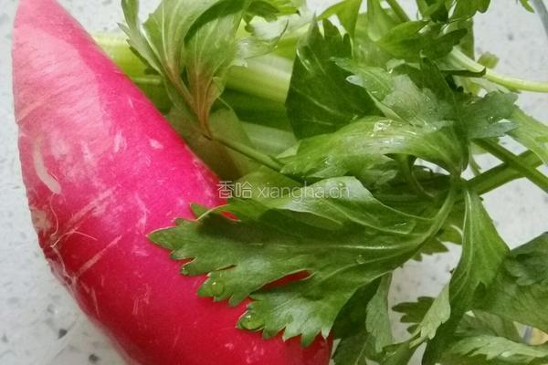 爽拌豆芽萝卜丝的做法图解2