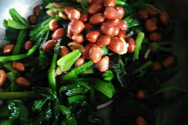 蚝油菠菜凉拌的做法图解9