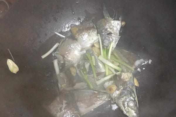 家常青鱼的做法图解3