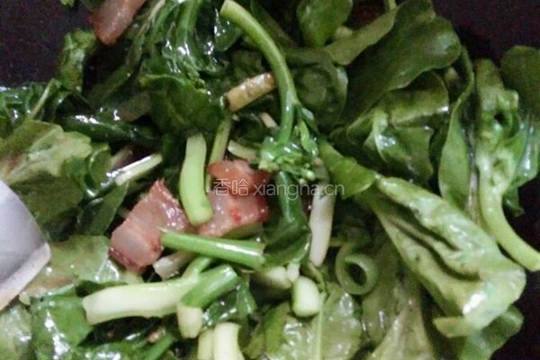 芥兰炒腊肉的做法图解3