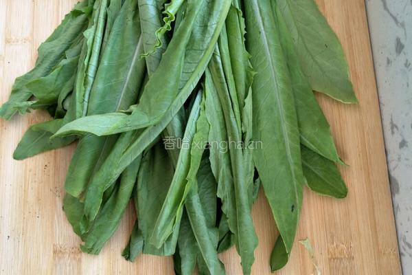 蒜蓉油麦菜的做法图解1