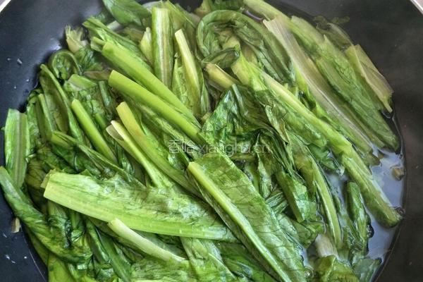 蒜蓉油麦菜的做法图解4