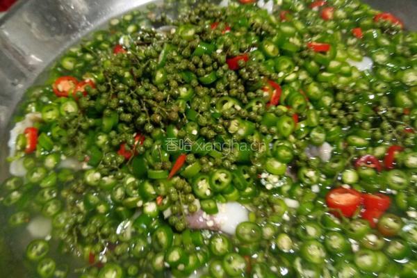 鲜椒水煮鱼的做法图解6