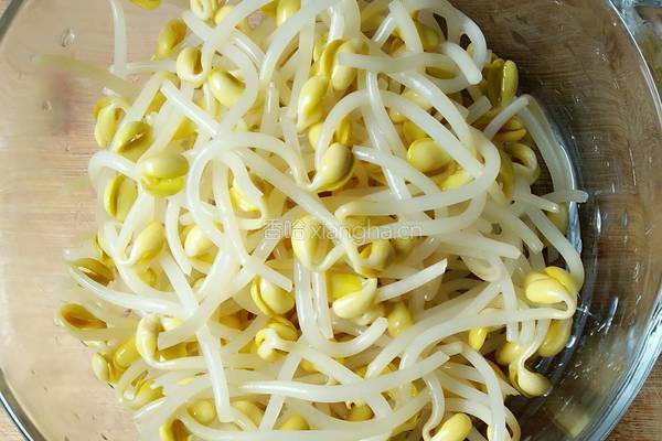 凉拌黄豆芽的做法图解4