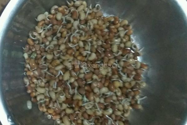发豇豆芽的做法图解5
