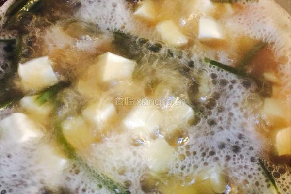海带豆腐汤的做法图解10