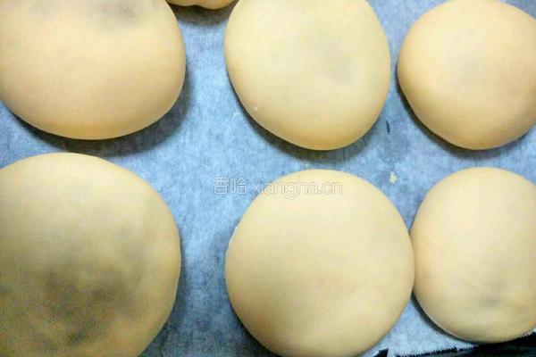 豆沙小面包的做法图解8