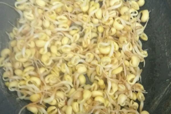 豆芽蒜苗炒鸡蛋的做法图解4