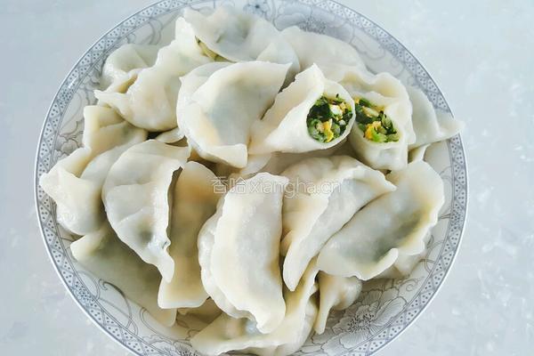 菠菜鸡蛋馅饺子的做法图解19