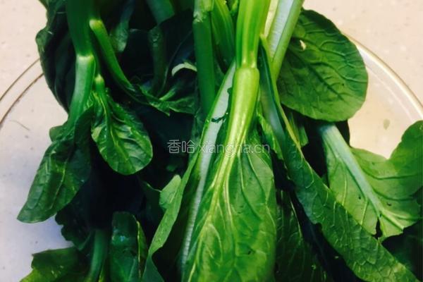 白灼鸡丝菜心的做法图解4