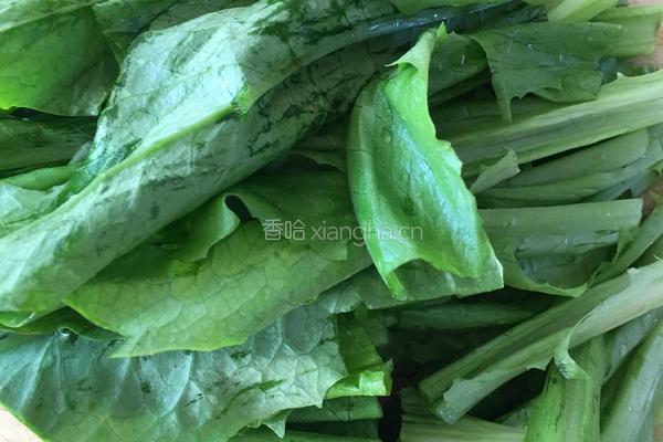 豆豉鲮鱼油麦菜的做法图解2