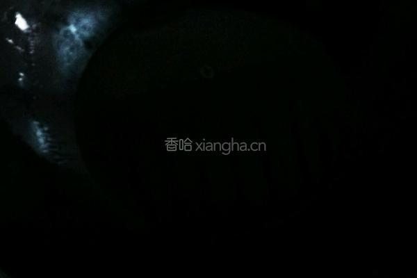 小孩最爱自制肯德基的做法图解5