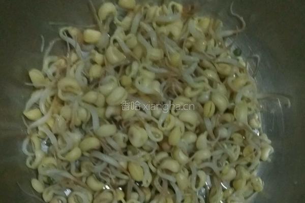 豆芽烧的做法图解3
