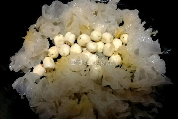 红枣银耳莲子羹的做法图解3