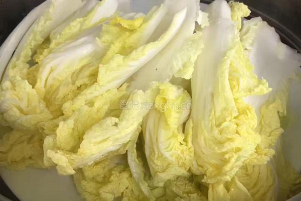 蒜蓉粉丝蒸娃娃菜的做法图解3