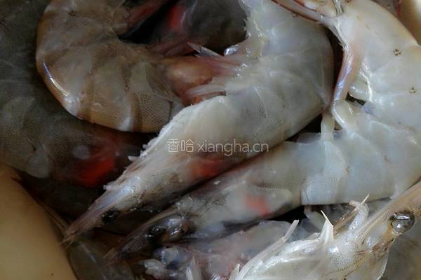 白煮虾的做法图解3