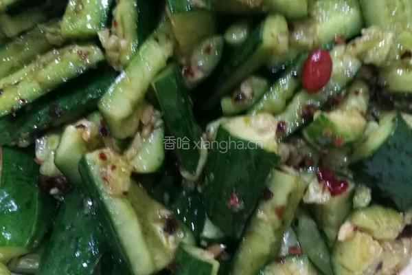 酸辣黄瓜的做法图解4