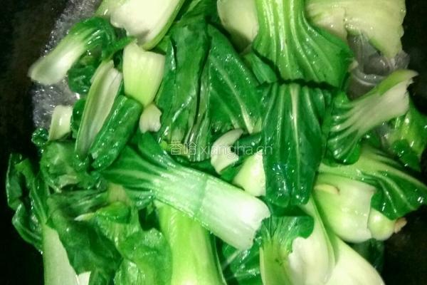 粉皮焖油菜的做法图解7