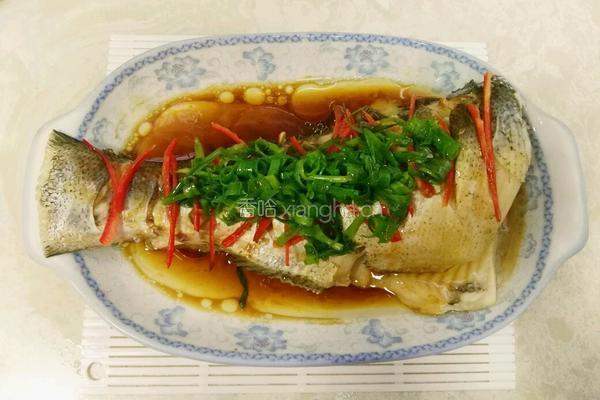 清蒸大头鲢鱼断的做法图解6