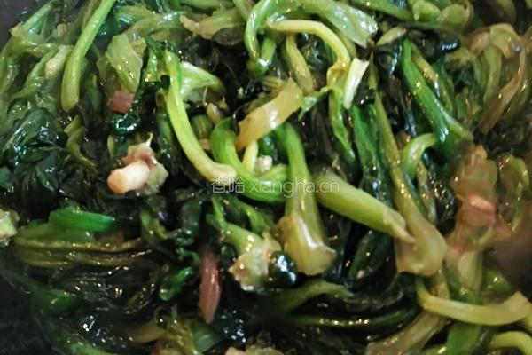焖菠菜的做法图解12