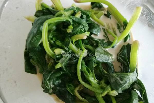 麻酱拨清菠的做法图解6